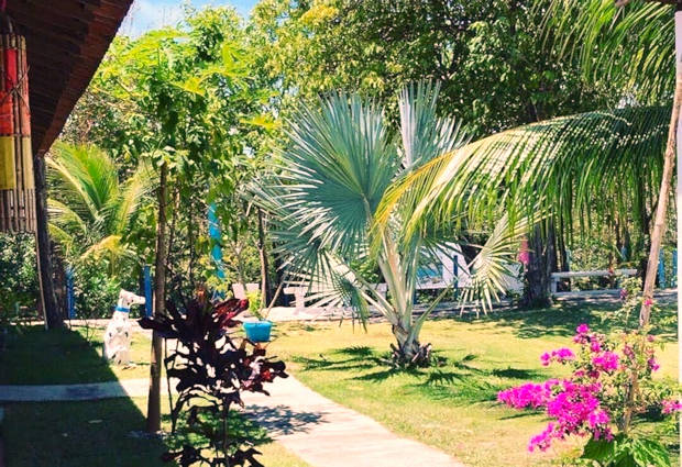 tropischer Garten vom Hotel in Pipa Brasilien