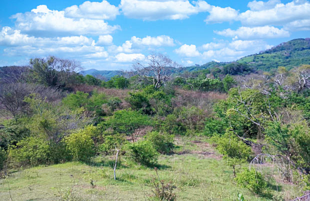 Grundstck fr Landwirtschaft Agrarland in El Salvador zum Kaufen