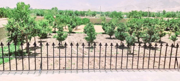 Obstgarten Grundstck vom Einfamilienhaus bei Kabul