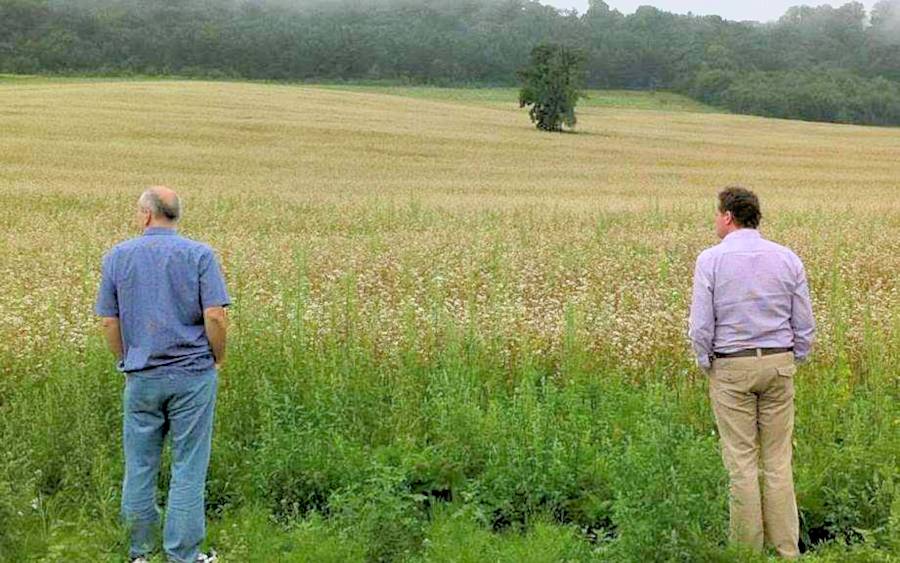 Agrarland Ackerland in der Ukraine zum Kaufen