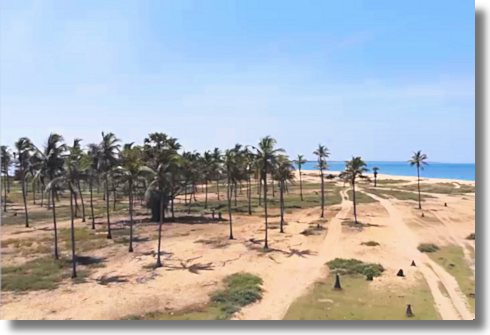 Dutch Bay Grundstck Sri Lanka bei Kalpitiya zum Kaufen