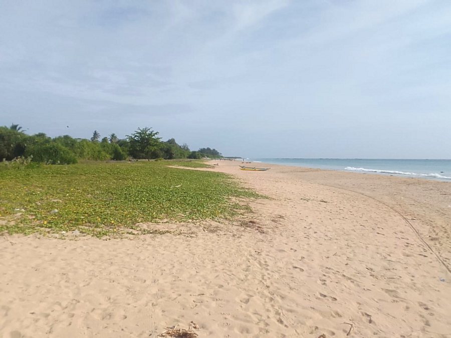 Strandgrundstck am Golf von Bengalen in Sri Lanka