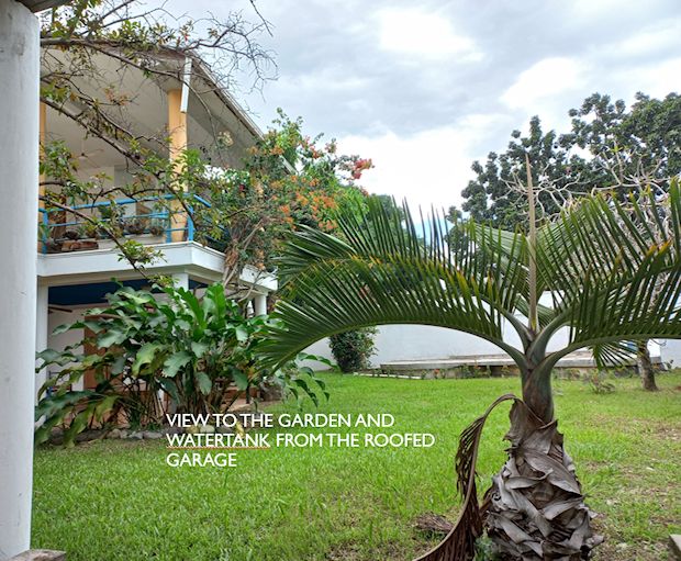 Garten vom Wohnhaus in La Ceiba