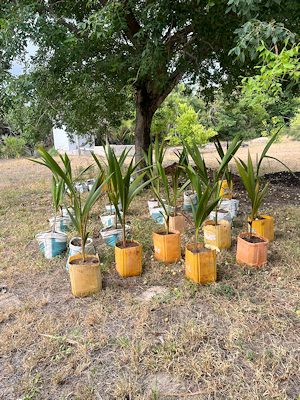 Garten des Hauses