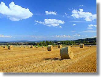 Ackerland Farmland Agrarland im Kreis Cluj Siebenbrgen Rumnien