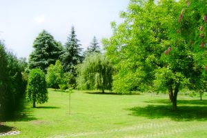 Garten vom Landhaus in Ungarn