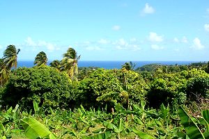 Baugrundstück mit Meerblick auf Dominica