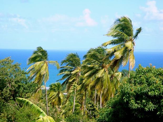 Baugrundstück der Insel Dominica mit Meerblick