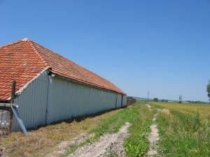 Reitanlage Stallung in Bata Ungarn zum Kaufen