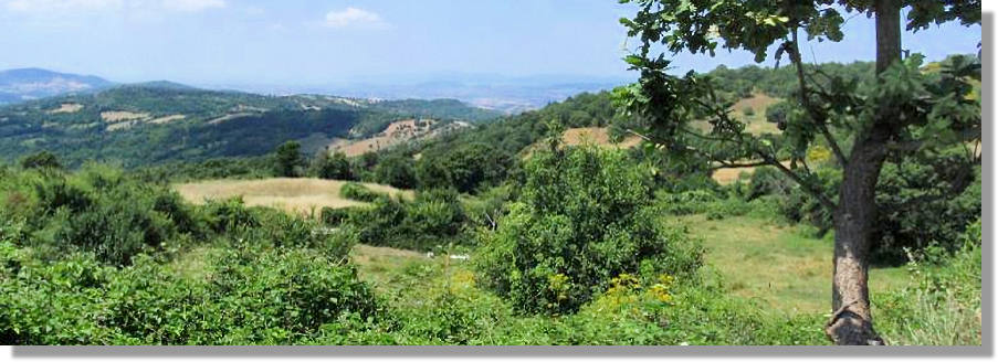 Italien Grundstcke in der Toskana kaufen vom Immobilienmakler