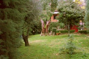 Garten der Villa unweit von Pisa
