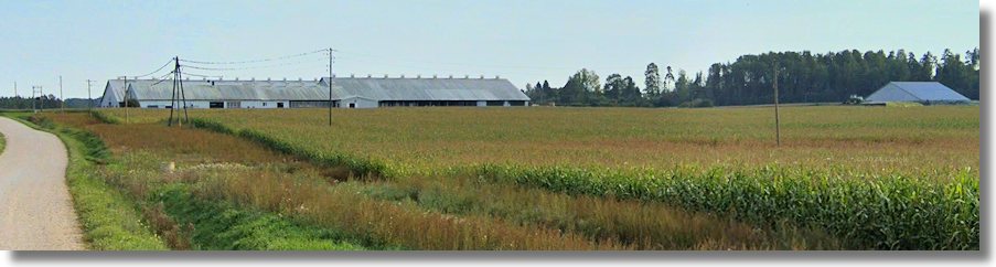 Landwirtschaft Milchviehbetrieb Lettland zum Kaufen
