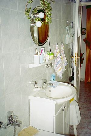 Badezimmer vom Wohnhaus