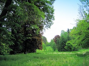 Grundstck vom Schloss Krawarn