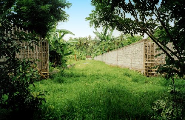 Weg zum Baugrundstck