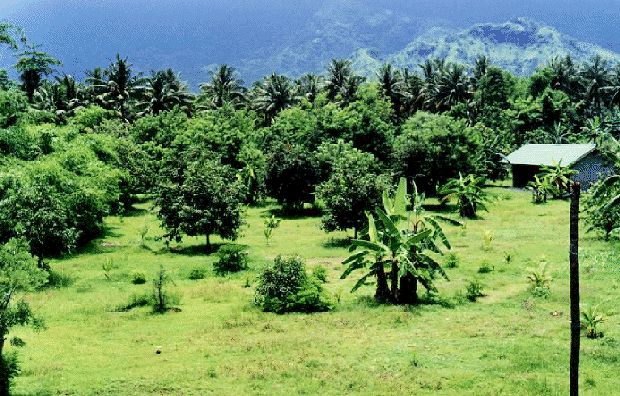 Baugrundstck mit Strand auf Bali