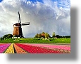 Niederlande Immobilienmakler Immobilien