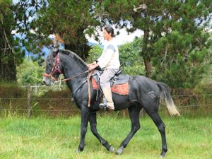 Pferderanch Ferienanlage am Kratersee Cuicocha in Ecuador