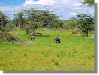 Grundstücke für Farmen in Tansania zum Kaufen bei Bagamoyo