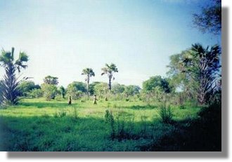 Ranch in Tansania  bei Bagamoyo