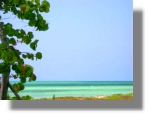 Grand Bahama Grundstck am Meer zum Kaufen