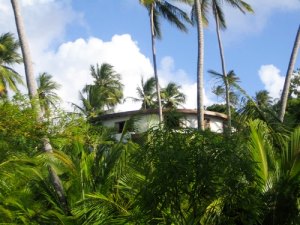 Ferienhaus mit Meerblick auf Barbados
