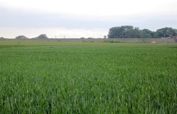 Przyszowice Gewerbegrundstück bei Gliwice Polen kaufen Przyszowice Gewerbegrundstück bei Gliwice Polen kaufen