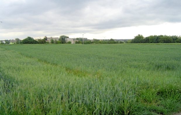 Polen Gewerbegrundstück in Schlesien Polen Gewerbegrundstück in Schlesien
