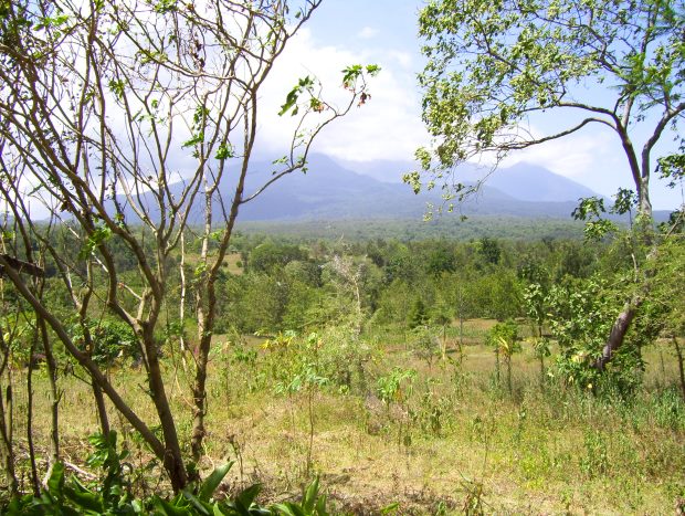 Mount Meru Grundstück in Tansania