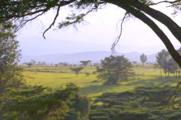 Farm bei Arusha in Tansania