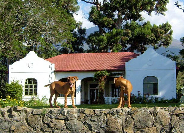 Haupthaus der Pferderanch
