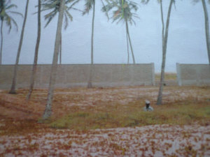 Grundstck mit Palmen in Benin