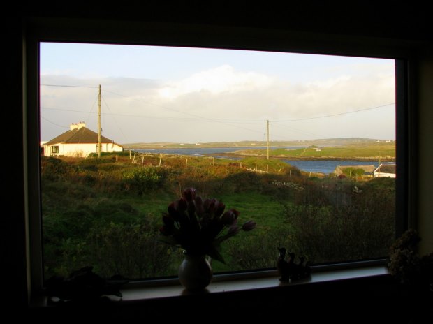 Ausblick vom Landhaus in Irland