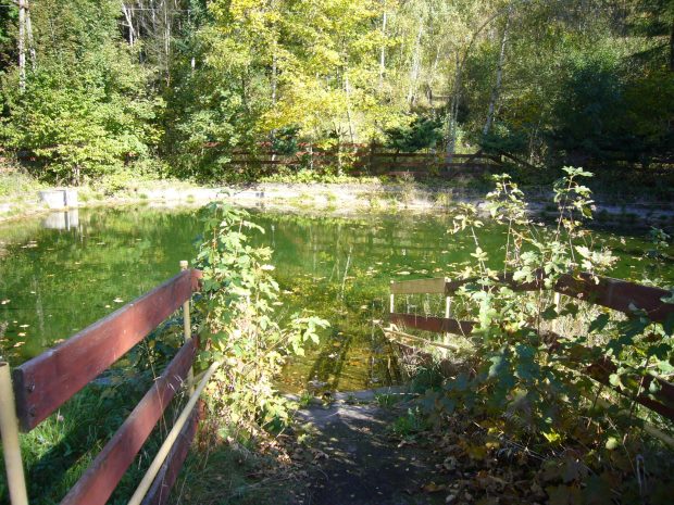 See Teich der Villa in Nowa Wies Schlesien