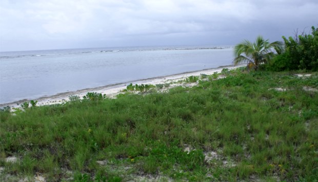 Baugrundstcke nah dem Strand und Meer auf Caymann Brac