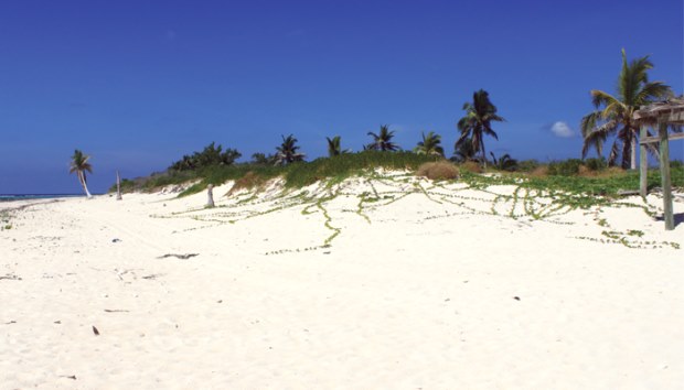 Little Caymann Meer und Strand nah der Baugrundstcke