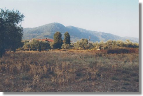 Thassos Grundstück in Griechenland zum Kaufen