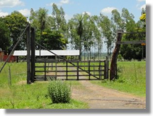Paraguay Rinderfarm im Departamento Caaguazu bei Coronel Oviedo