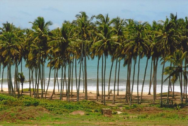 Grundstück an der Küste von Ghana