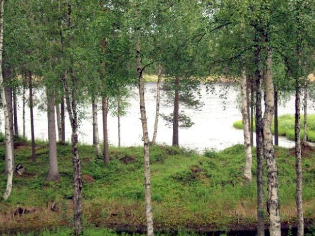 Grundstck vom Wohnhaus mit Flussufer am Ounasjoki von Lappland