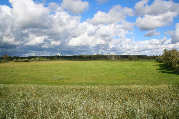 Baugrundstcke nah der Ostsee in Lettland
