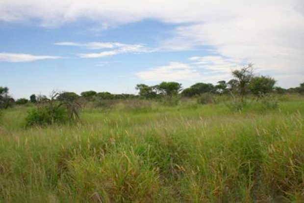 Botswana großes Grundstück mit Farm
