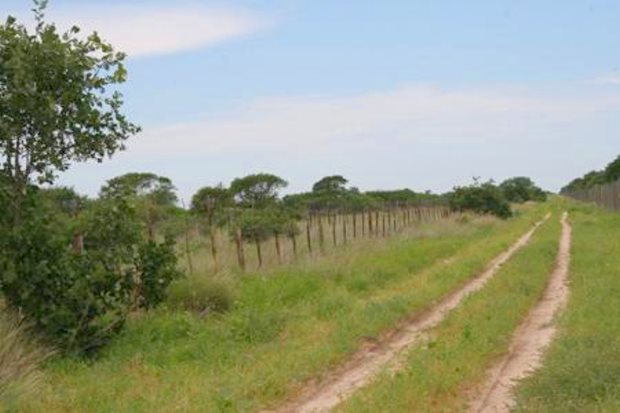 Farmland in Botswana