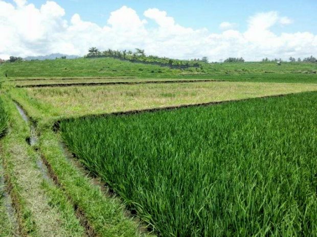 Jehembang Baugrundstcke Insel Bali