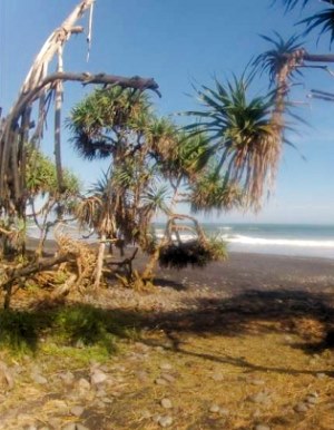 100 m bis zum Meer und Strand von den Baugrundstcken