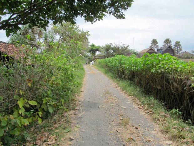 Weg zu den Baugrundstcken