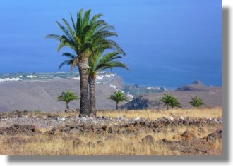 Grundstück auf La Gomera kaufen