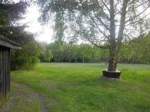 Wiese zum Einfamilienhaus Wiese zum Einfamilienhaus