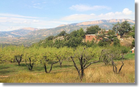 Grundstck Finca bei Agullo der Provinz Lerida Katalonien