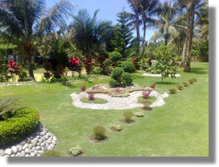 tropischer Garten vom Ferienhaus